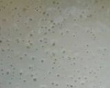 A picture of step 2 of Sinasir.
