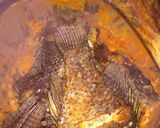 A picture of step 2 of Fish in coconut curry(mtuzi wa samaki) #festiveseasonkakamega#.