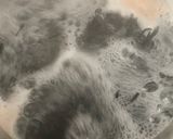 Foto del paso 1 de la receta: Spaghetti al Nero di Sepia con Frutos del Mar