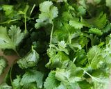 A picture of step 5 of Pico de gallo.