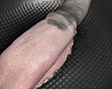 A picture of step 1 of Pickled Beef (ox) Tongue.