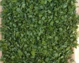 A picture of step 1 of Maithi khasta puri.