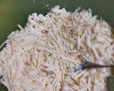 Foto del paso 2 de la receta: Almojábanas de Ricota y Queso de Campo