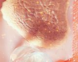 صورة لخطوة 5 من وصفة تارت بجينواز سهلة ومضمونة 🍰