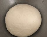 Foto del passaggio 5 della ricetta Pizze al piatto e bianca (67% idratazione)🍕