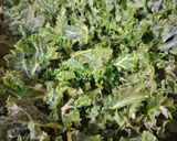 Foto del paso 2 de la receta Col rizada salteada