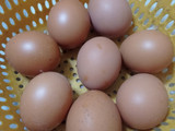 Chinese Eggs Tea 🐣