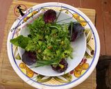 Foto del paso 2 de la receta: Ensalada La Huerta de Olot (Mercado magnífico donde encontrar variedades ecológicas deliciosas