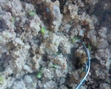 Foto del paso 7 de la receta: Zapallitos relleno de carne