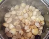 Foto langkah ke 5 dari resep Manisan Salak.