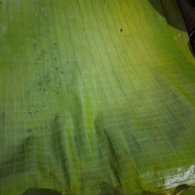 Langkah 1