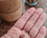 Foto del paso 1 de la receta: Brotes de lino 🌱 Germinación de semillas de lino marrón en germinador de arcilla 🌱