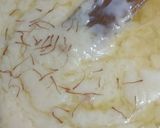 দুধ ও ময়দার হালুয়া। Milk and flour halwa রেসিপির ধাপ 3 ছবি