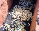 Foto del paso 4 de la receta: Germinados de lenteja en casa