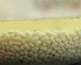 A picture of step 2 of Green Idli.