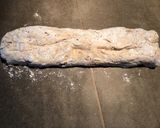 A picture of step 6 of Quick Spelt Bread Rolls.
