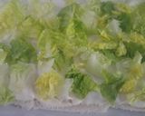 Foto del paso 1 de la receta Pastel vegetal frío