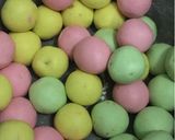 Foto langkah ke 5 dari resep 🍡Klepon Pelangi🍡.