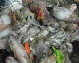 Foto langkah ke 3 dari resep Cumi Hitam Madura.