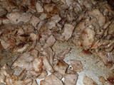 Bistec con nopales