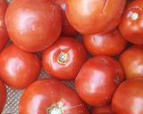 عکس مرحله 1 از دستور پوره گوجه فرنگی