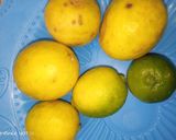 A picture of step 1 of Ginger lemon juice🍸.