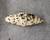 Foto del paso 5 de la receta: Croissants rellenos de cacao