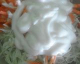 Foto langkah ke 3 dari resep Coleslaw.