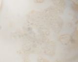 Foto del paso 3 de la receta: Pan de caja