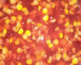 Foto langkah ke 3 dari resep Bubur jagung mutiara.