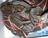 Foto langkah ke 1 dari resep Kepiting Asam Manis.