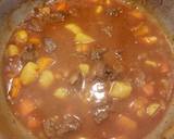 Spicy Beef Stew recipe step 4 photo