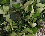 A picture of step 1 of Nutritious Moringa Parantha.