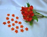عکس مرحله 7 از دستور کندی کدو حلوایی