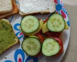 વેજીટેબલ સેન્ડવીચ (Vegetable Sandwich Recipe In Gujarati) રેસીપી સ્ટેપ2ફોટો