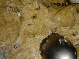 Galletitas integrales