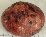 Foto langkah ke 21 dari resep Double Chocolate Sourdough Bread (82%).