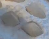 صورة لخطوة 3 من وصفة مقروط الجلجلان