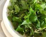 Hình bước làm 1 của món 🌱 Canh Rau Tầm Ma Nấm Mỡ (Vegan)