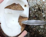Foto del paso 5 de la receta: 🥥 Coco fresco y cómo abrirlo fácil 🥥