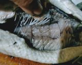 Foto langkah ke 3 dari resep Pecak Bandeng Khas Banten.
