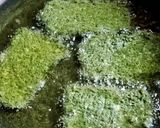 Foto langkah ke 7 dari resep Dendeng Daun Singkong.