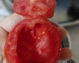 عکس مرحله 2 از دستور دیل دکونی گیلانی