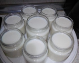 Foto del paso 2 de la receta: Bolitas de queso labneh