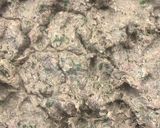 A picture of step 2 of Frozen Reshmi Beef Kofta (Make & Store).