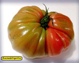 Foto del paso 1 de la receta: Tomate macerado en AOVE y Ajo