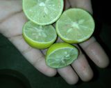 A picture of step 3 of Leemo pani.