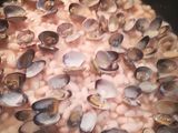 Alubias con almejas