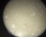 Foto langkah ke 2 dari resep Kacang tojin gurih.