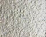 Foto del passaggio 2 della ricetta Pizza